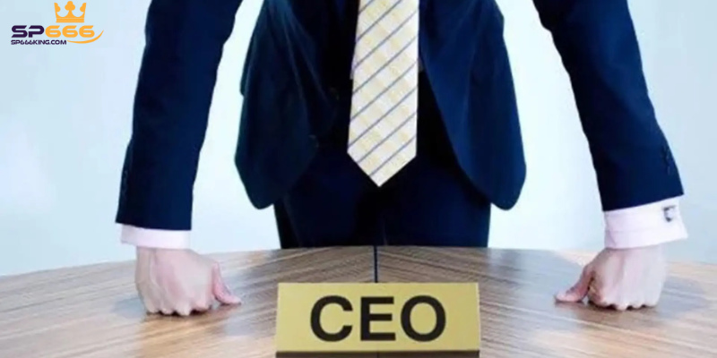 CEO SP666 - Hành trình gầy dựng SP666 lên tầm cao mới 2 CEO SP666 bén duyên với lĩnh vực cá cược