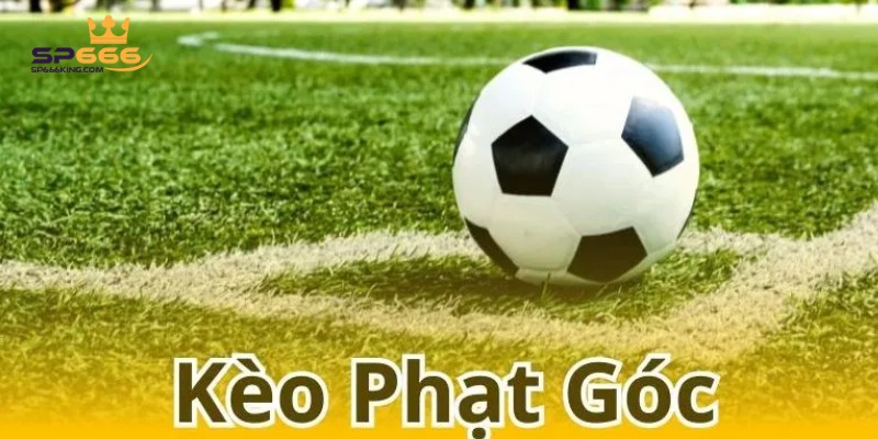 Kèo phạt góc chắn/lẽ hấp dẫn dành cho người mới chơi