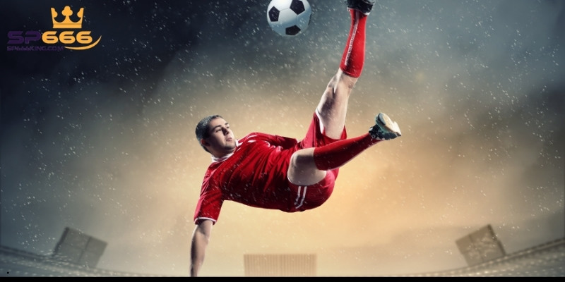 4 ưu điểm nổi bật được đánh giá cao của thể thao Sbobet SP666