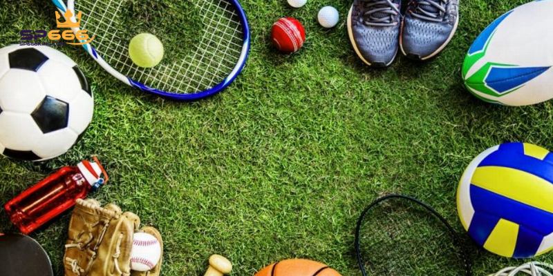 Giới thiệu về sảnh thể thao sôi động SP666