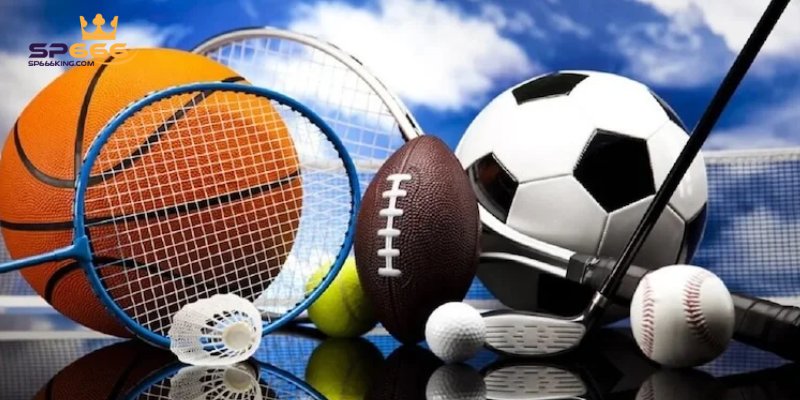 Các nhà cung cấp uy tín trên sảnh Thể thao SP666