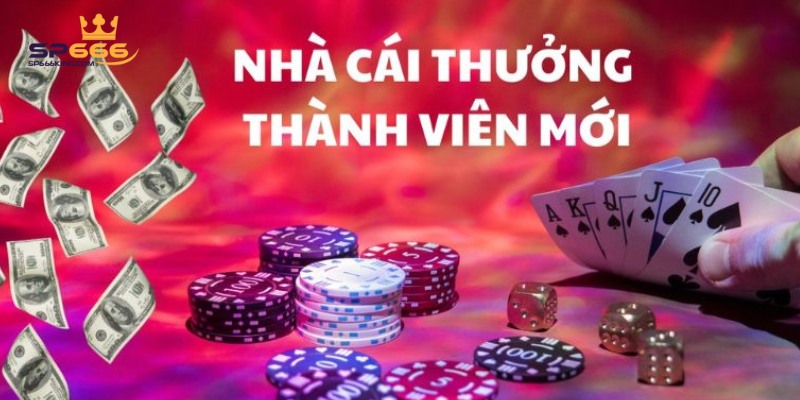 Khuyến mãi Sp666 giá trị lớn